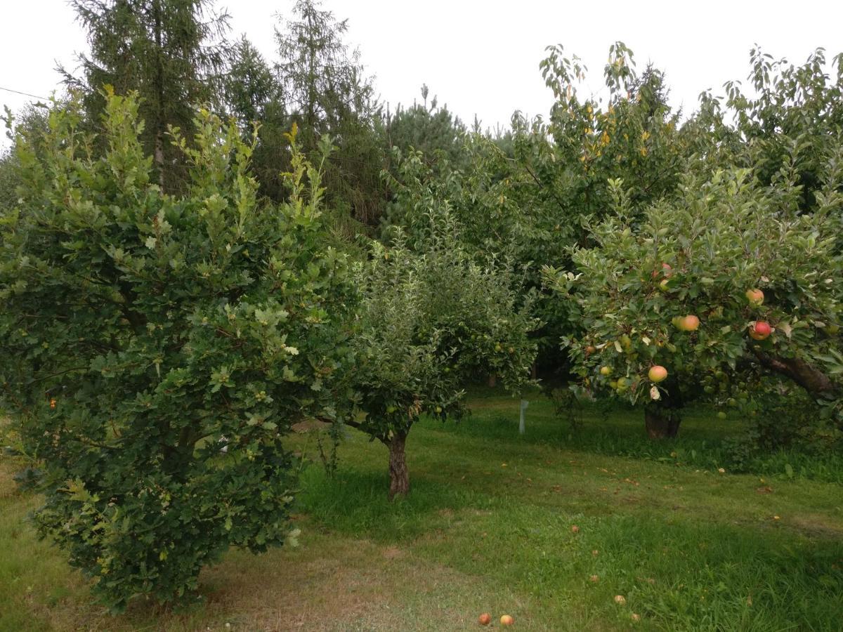 Agroturystyka Pod Czarna Sosna Bialy Lug Kültér fotó